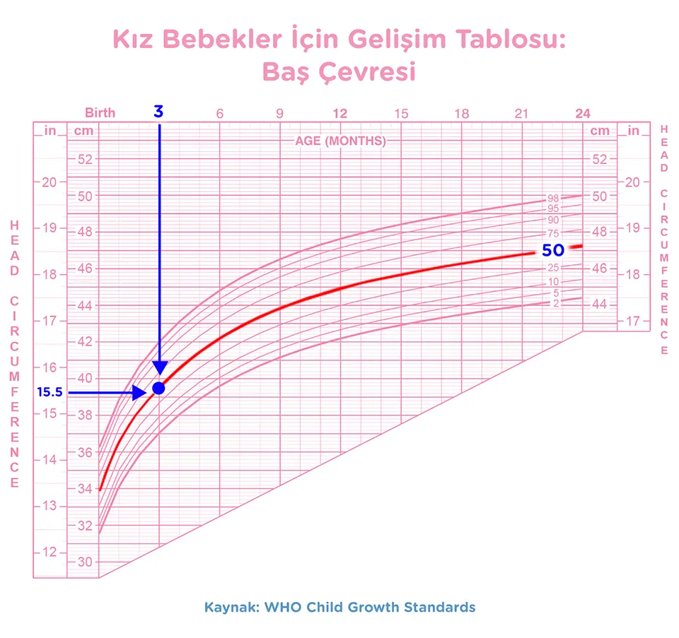 bebek gelisim tablosu-Article Content Image1 Baby-Growth-Chart_girl_TR_HeadCirc_960
