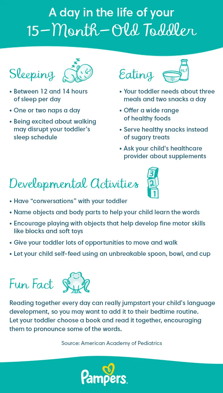 15-month-old routine 15-month-old routine