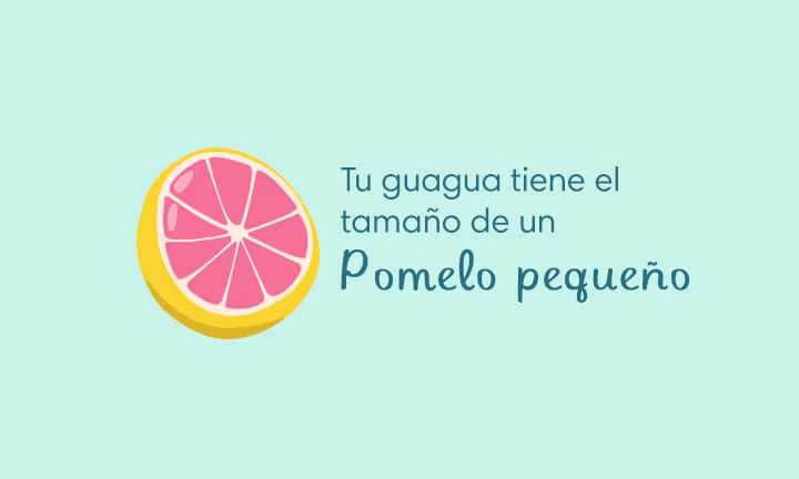 Your baby is the size of a grapefruit