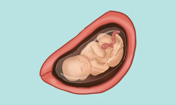 baby at 30 weeks pregnant