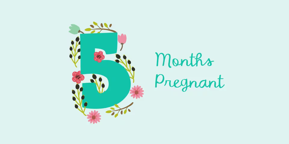 5 months pregnant illustration