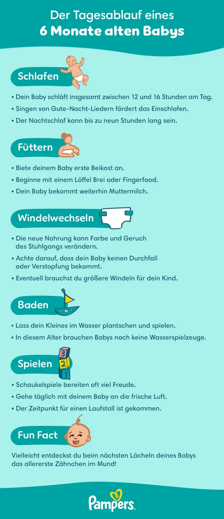 6 month old Daily Routine Infographic