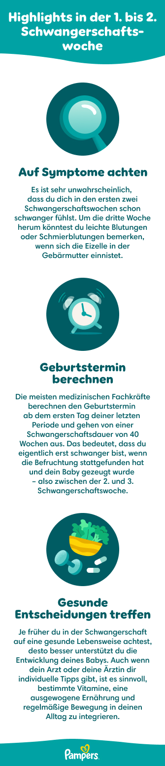 Ersten Wochen der Schwangerschaft: 1.  2. SSW | Pampers DE
