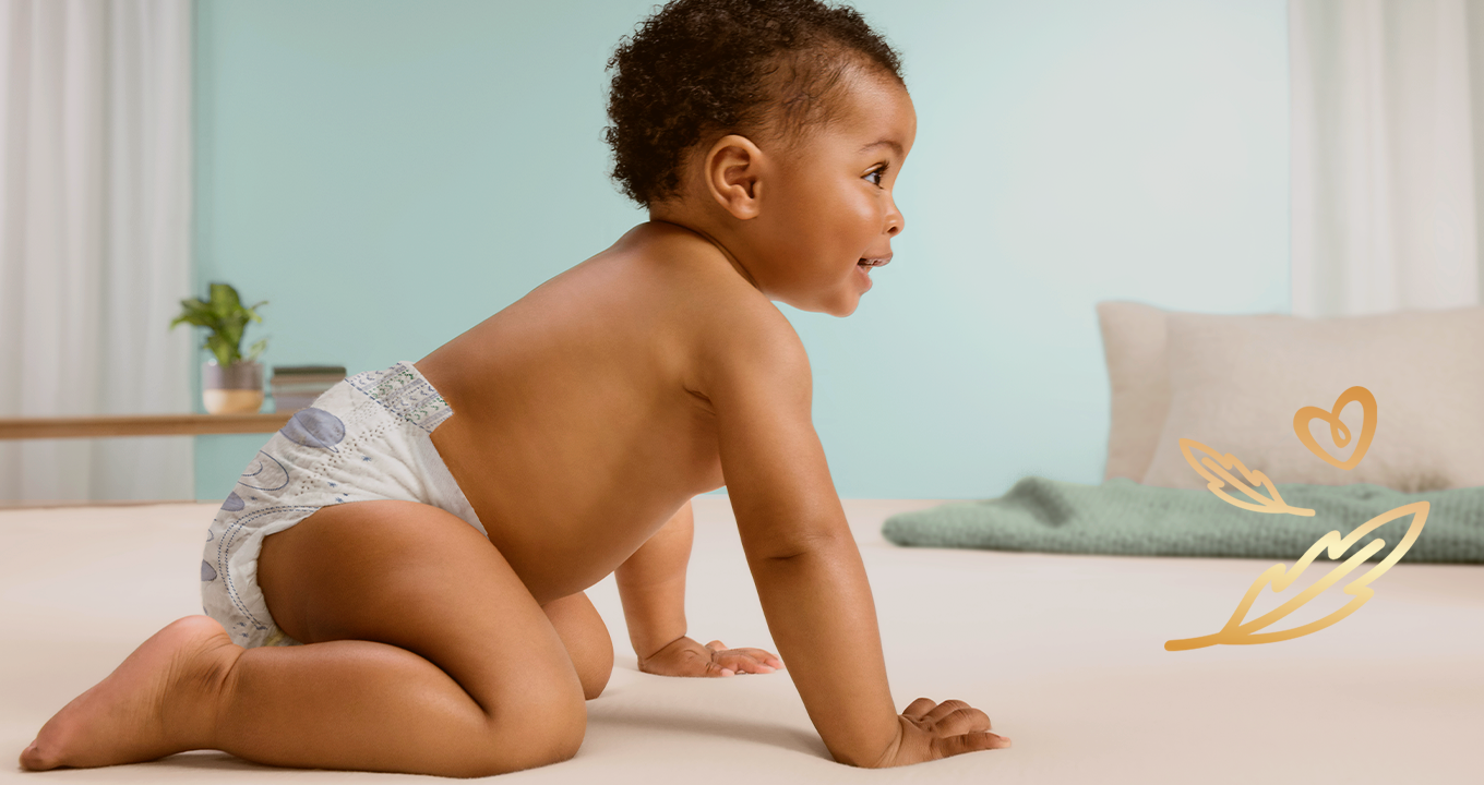 PC Máxima absorção