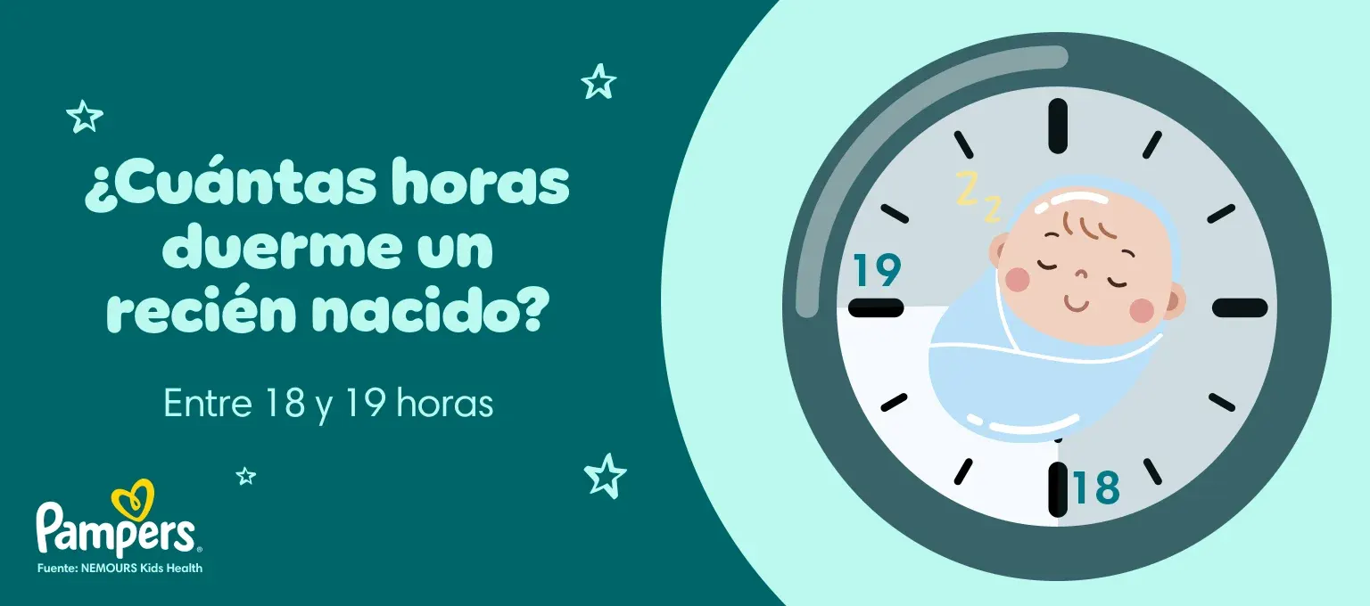 cuantas horas duerme un recién nacido
