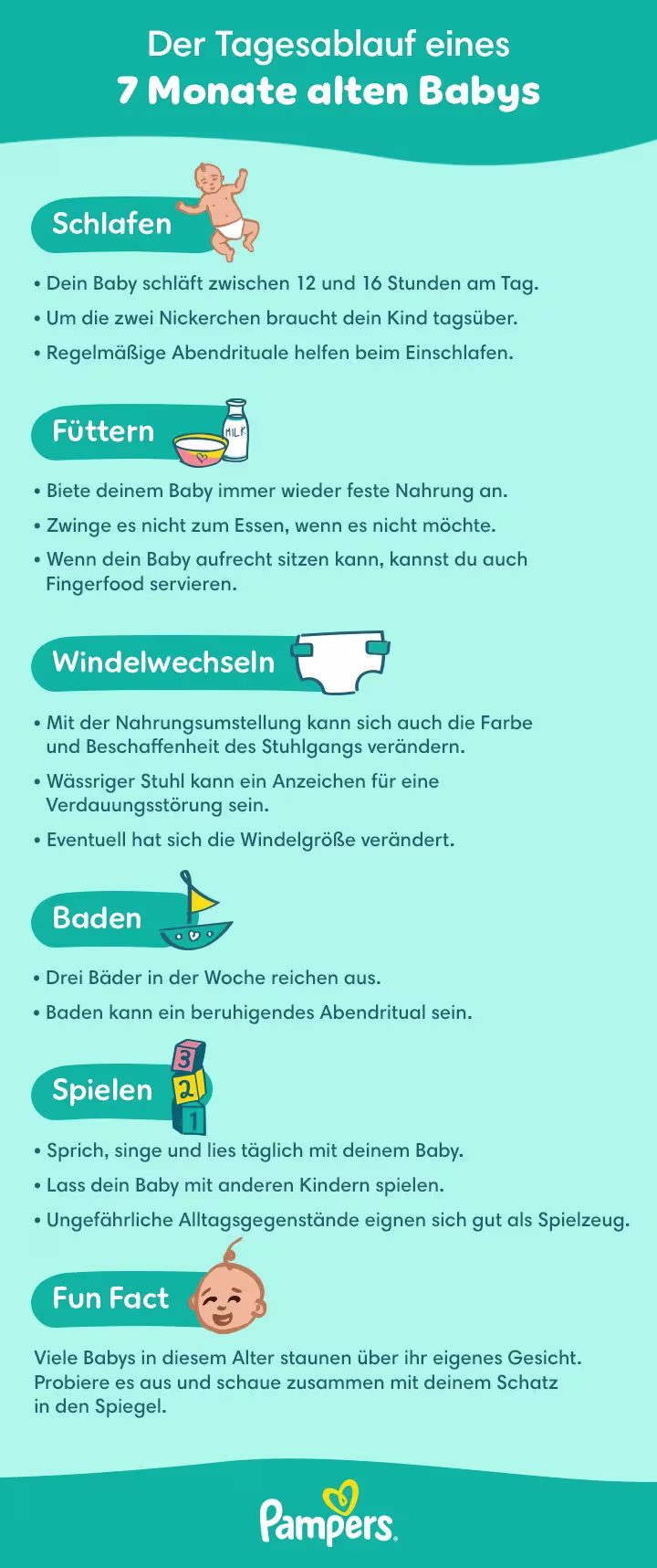 Tagesablauf 7. Monat Tagesablauf 7. Monat