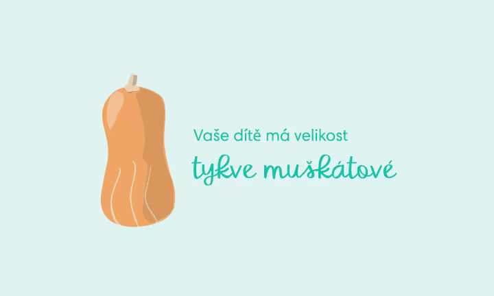 pregnancy-week-by-week-week-29