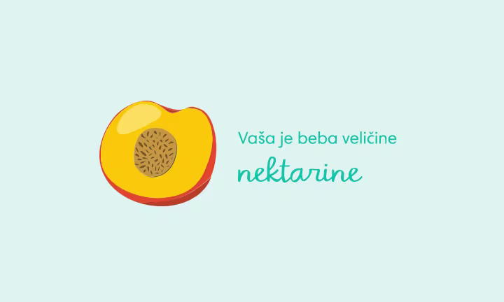 pregnancy-week-by-week-week-14