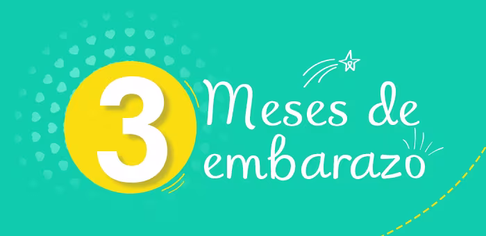 3 meses de embarazo: síntomas y desarrollo del feto