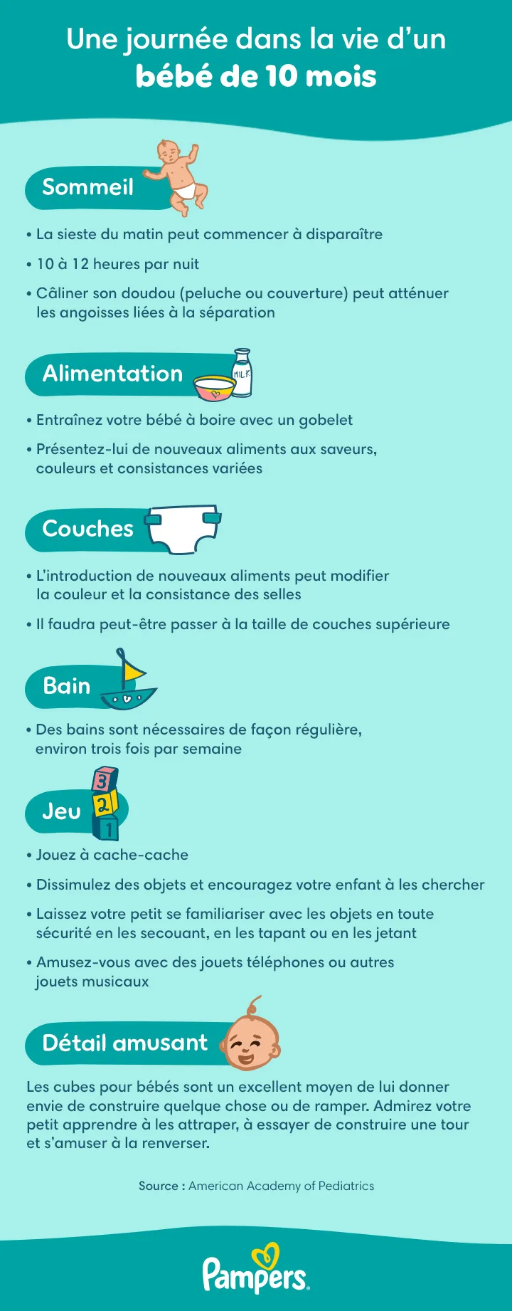 Étapes du développement et planning quotidien d’un bébé de 10 mois