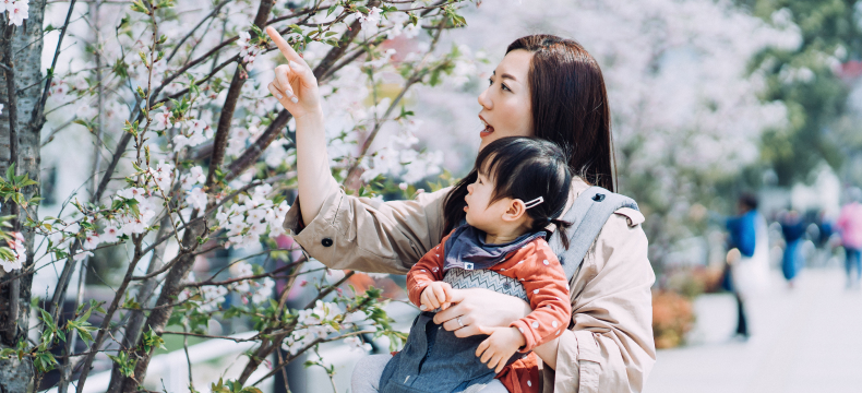 男の子と女の子の成長チャート トップバナー