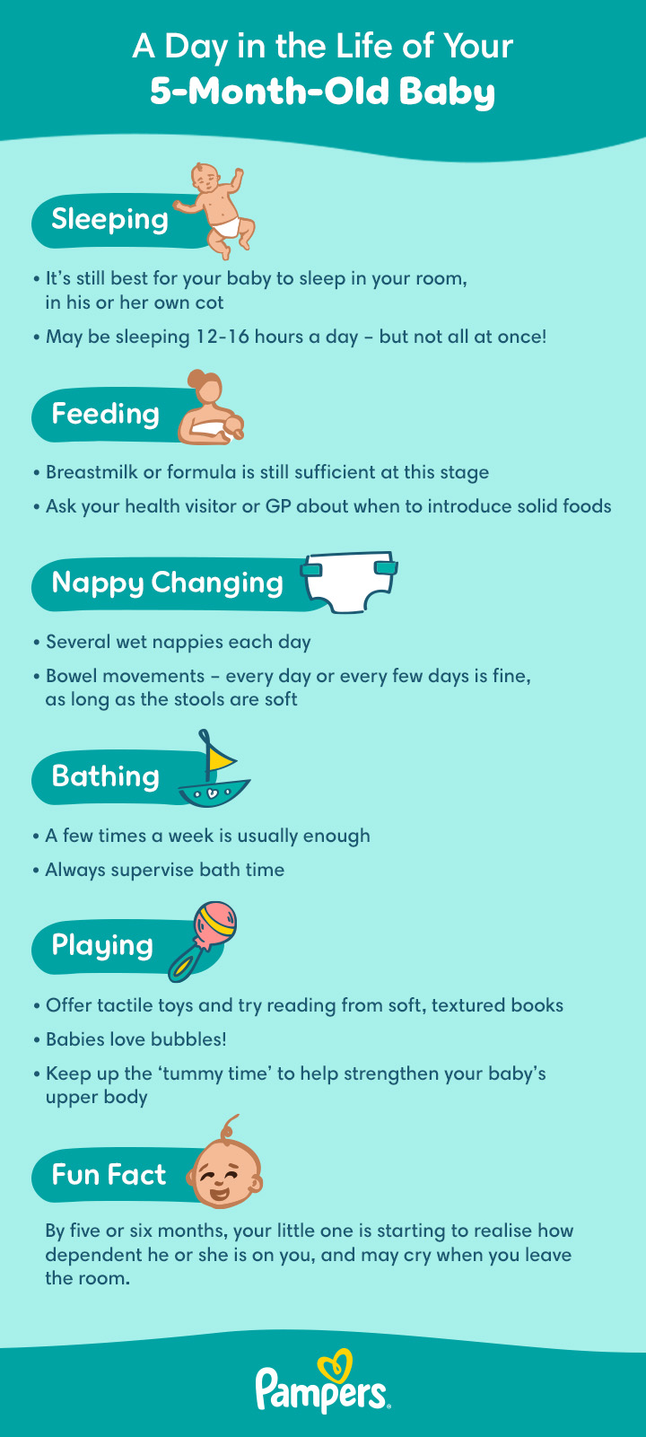 Five Month Five Week Old Baby Milestones Developmental Milestones