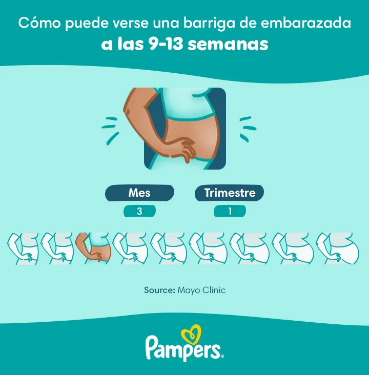 Panza de embarazada a las 10 semanas de embarazo Panza de embarazada a las 10 semanas de embarazo