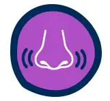 Ropa Interior Absorbente de Dodot®