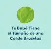 Semana 11 de embarazo