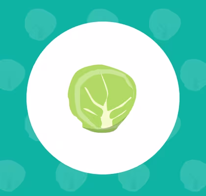 Brussels sprout icon