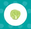 Brussels sprout icon