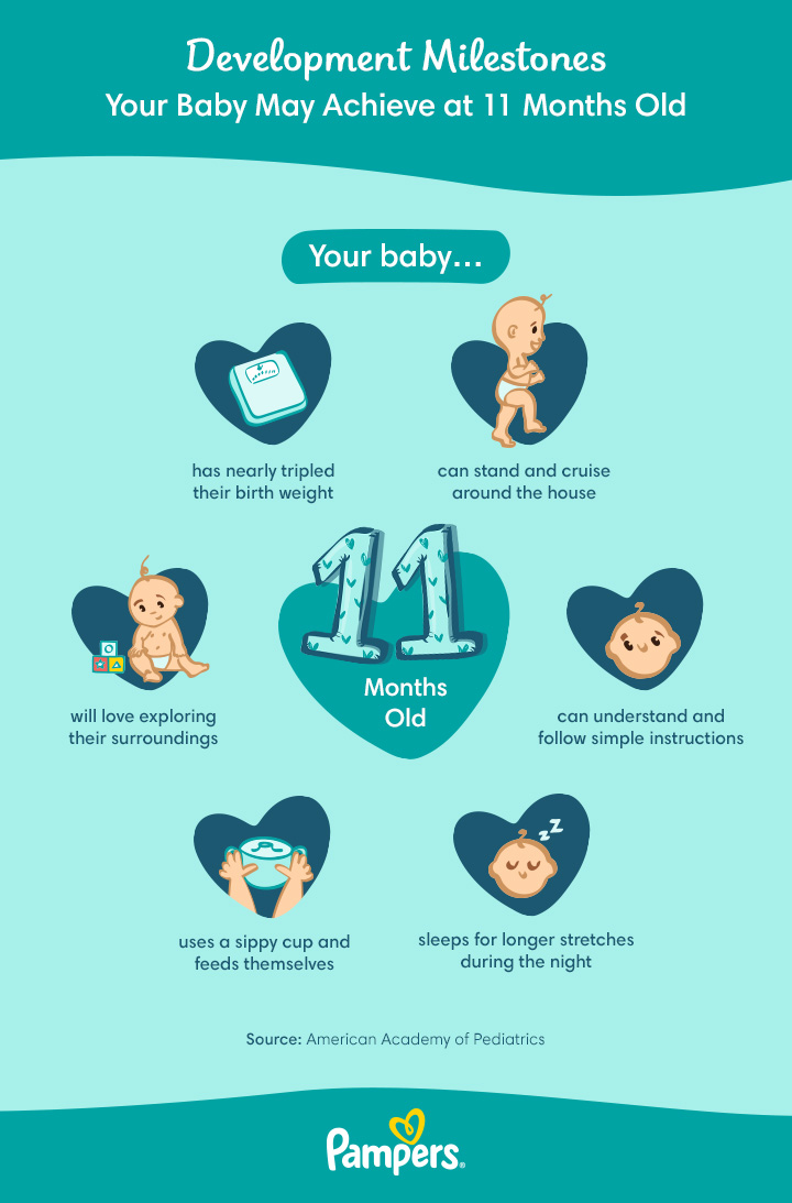 Child Development 11 Month Milestones For Baby Developmental