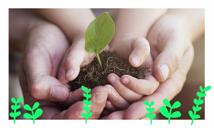 A Pampers fenntarthatóságra irányuló törekvései