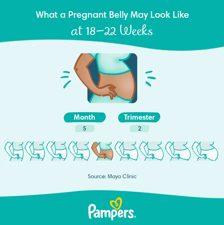 What Does 18 Weeks Pregnant Look Like?