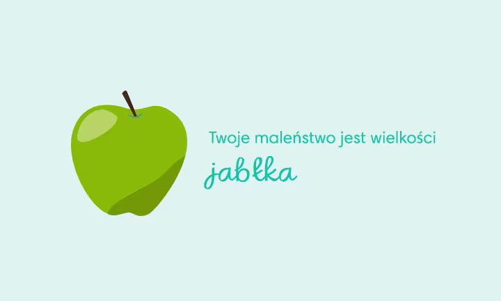16 tydzień ciąży wielkość płodu