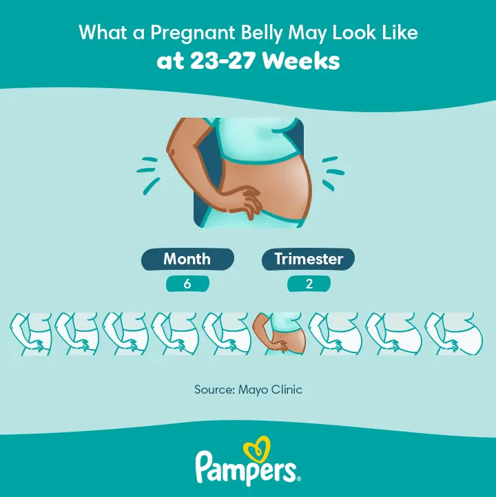 what a pregnant belly may look like at 24 weeks US Pampers Belly Growth 6 month