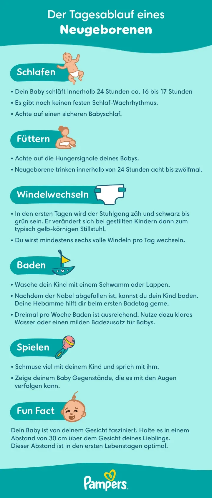 Meilensteine und Zeitplan für Neugeborene