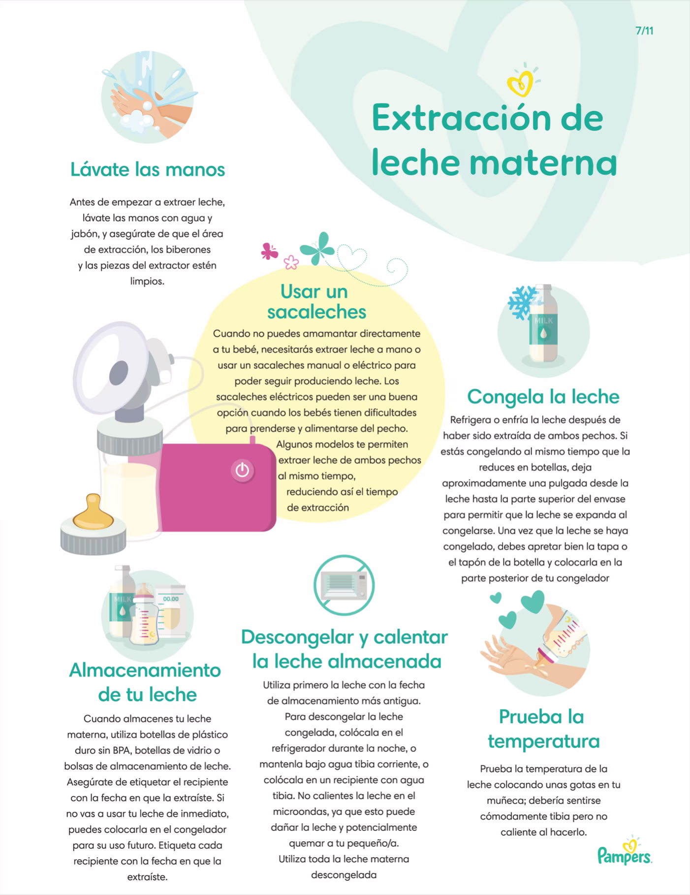 Guía de lactancia materna 5