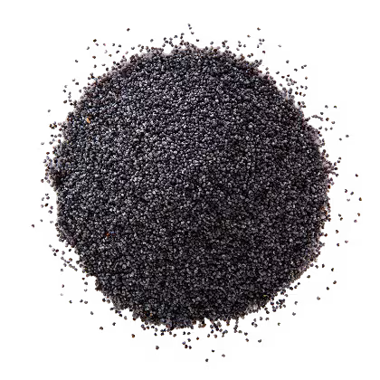 4 Weeks Pregnant Baby Size