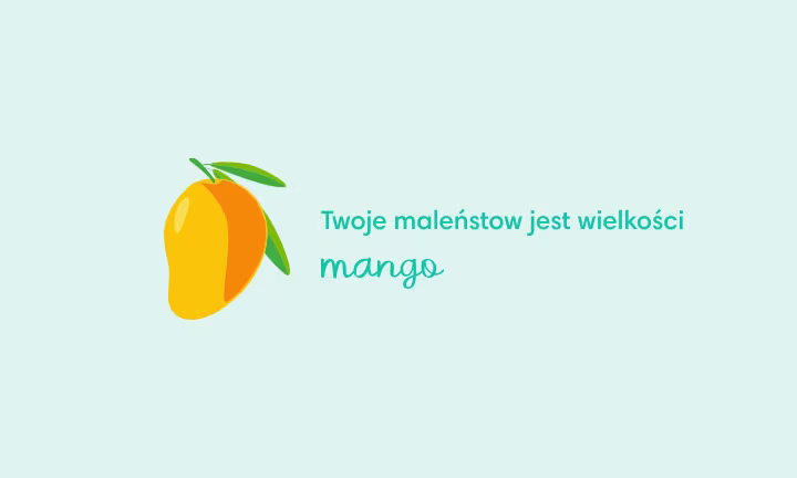 Wielkość dziecka w 19. tygodniu ciąży