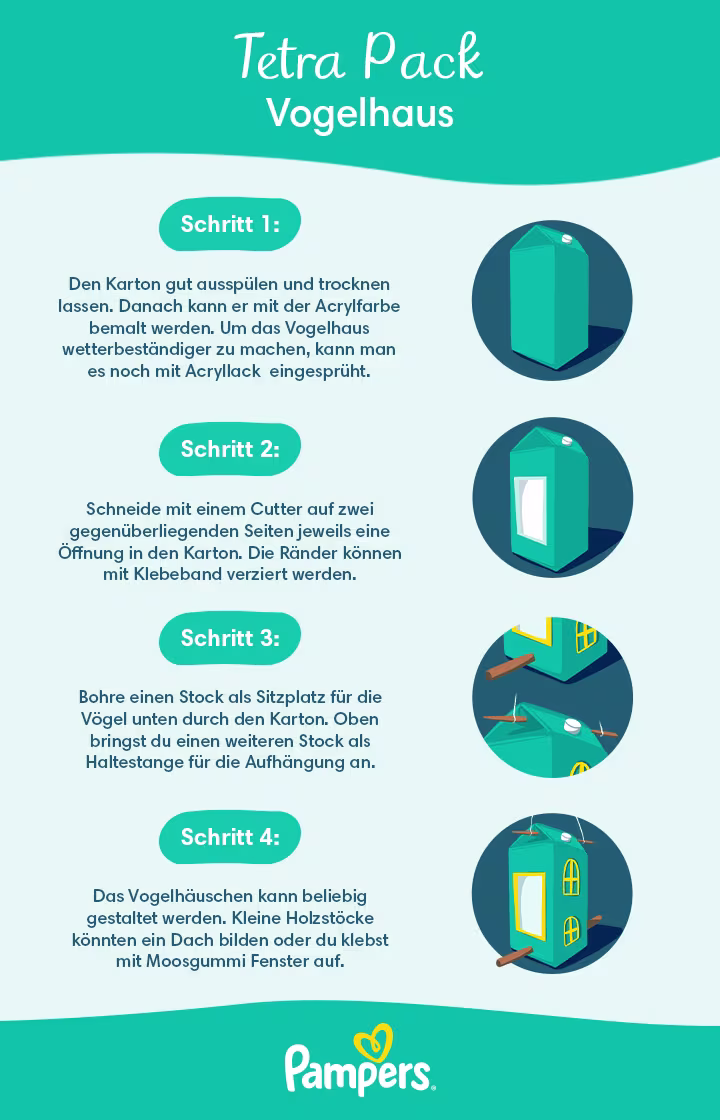 Infografik: Vogelhaus basteln