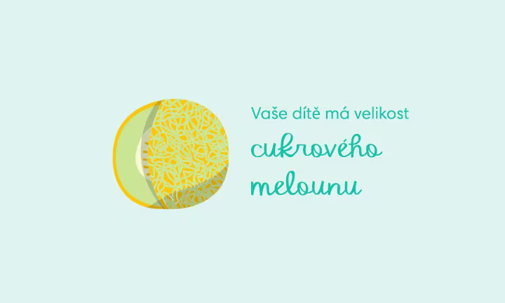pregnancy-week-by-week-week-35