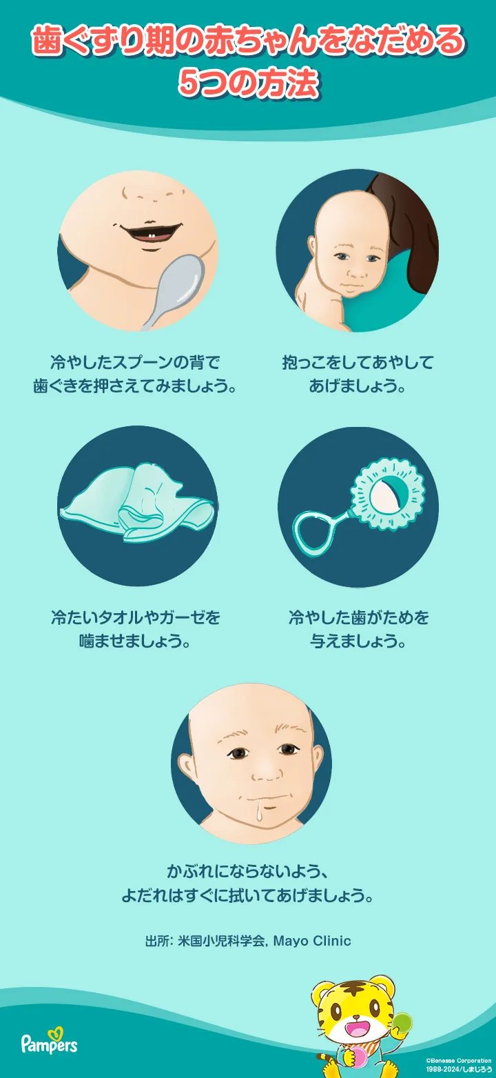 赤ちゃんの歯の生える順番 赤ちゃんの歯の生える順番