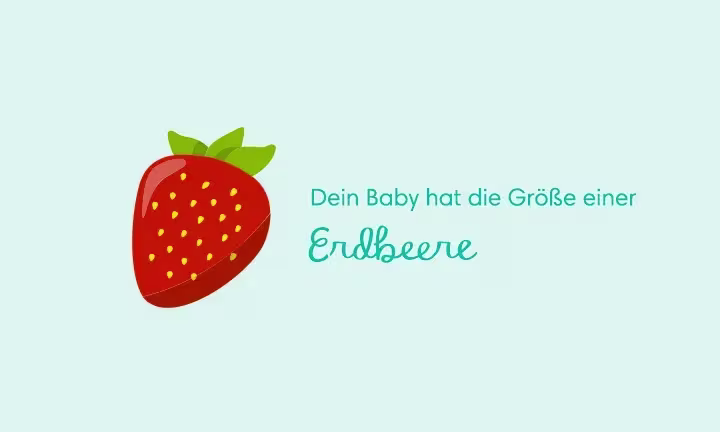 Dein Baby hat die Größe einer Erdbeere