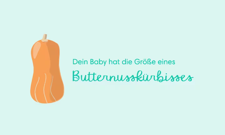 29 Wochen schwanger