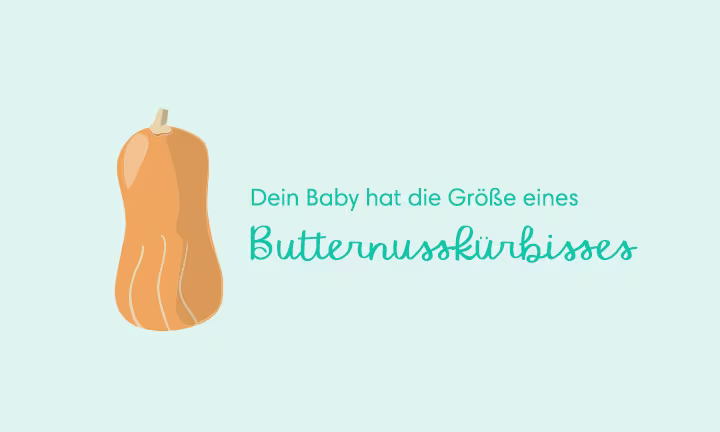 Die 29. Schwangerschaftswoche (29. SSW)