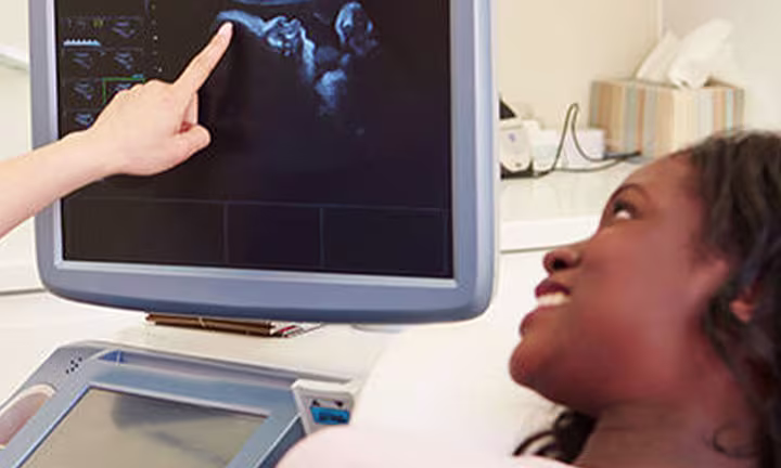 Stages of Fetal Development Week by Week