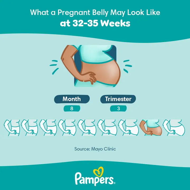 US Pampers Belly Growth 8 month