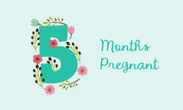 5 months pregnant