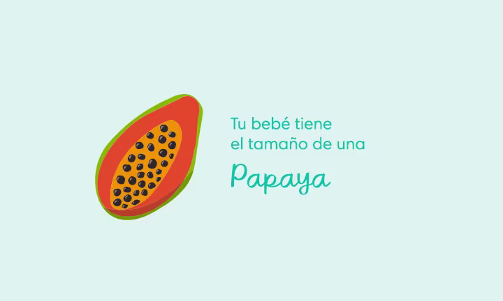 Semana 22 de embarazo