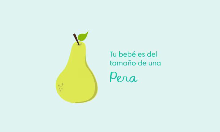 Tu bebé es del tamaño de una pera