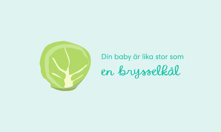 Week 11 pregnancy