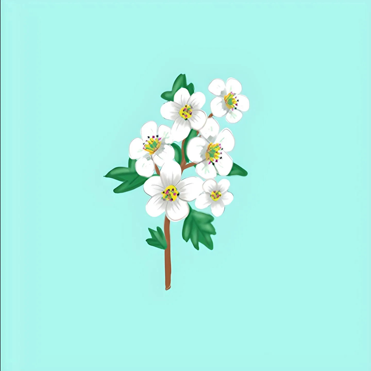 May Birth Flower