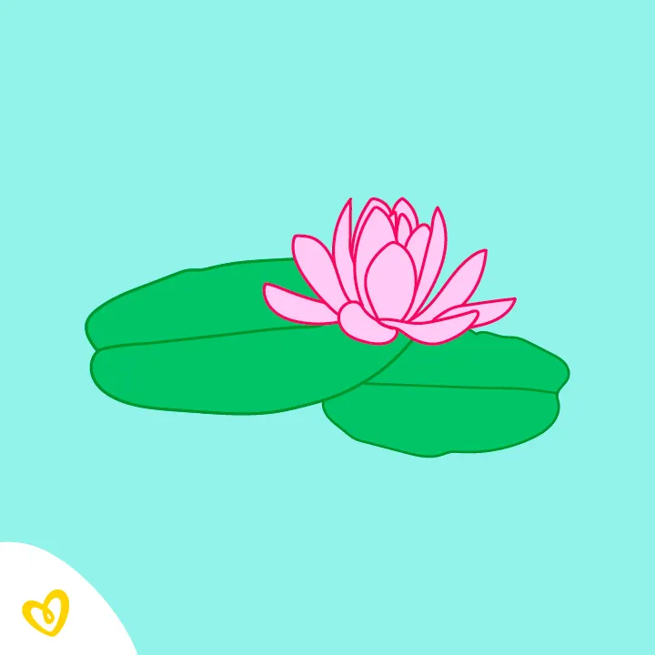 Lotus