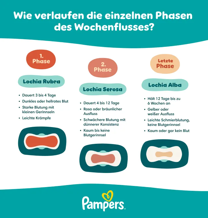 Neuer-Eltern-Ratgeber Neuer-Eltern-Ratgeber