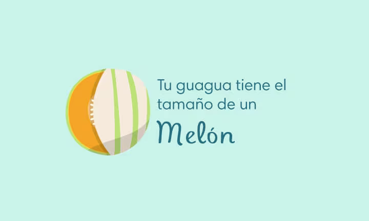 Semana 34 de embarazo: desarrollo