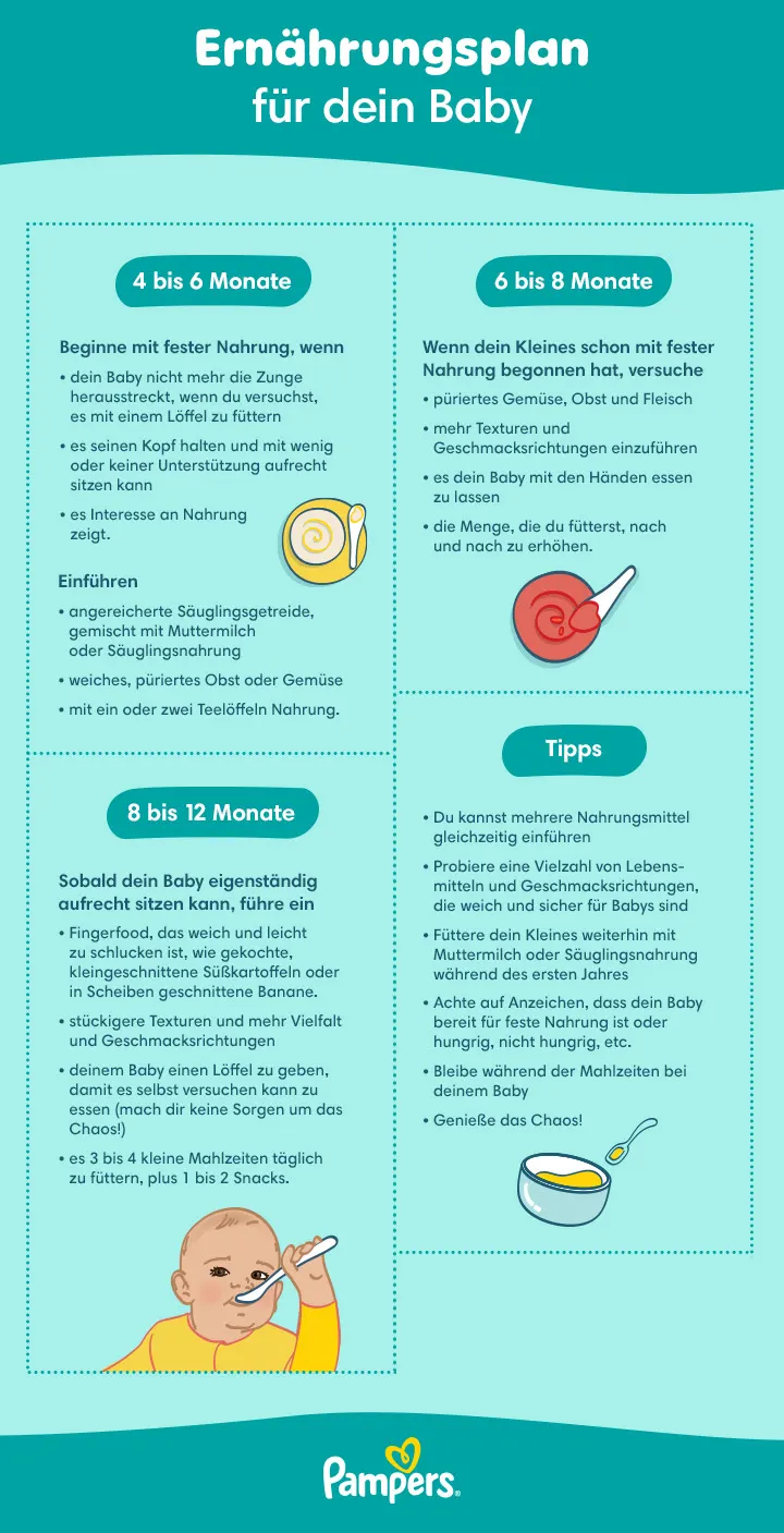 Der Ernährungsplan und Tipps für dein Baby, um es vom 4. bis zum 12. Monat, langsam mit fester Nahrung vertraut zu machen.