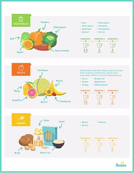 Pregnancy and Nutrition