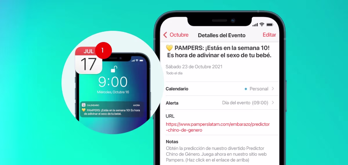 Seguimiento Semana a Semana del Embarazo, el servicio de notificaciones de Pampers