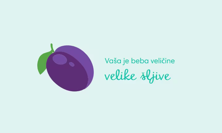 pregnancy-week-by-week-week-13